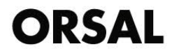 ORSAL INFORMATICA SL ORSAL INFORMATICA SL Logo